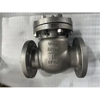 Stainless Steel Swing Check Valve, A351 CF8M, 4 Inch, PN16