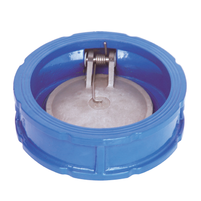 Single Door Wafer Check Valve, ASTM A536 65-45-12, 2-12 IN