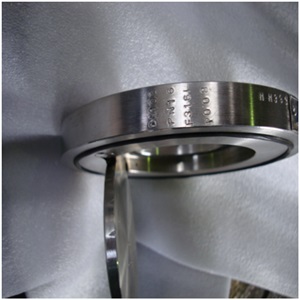Single Plate Wafer Check Valve, PN16, DN100, ASTM A182