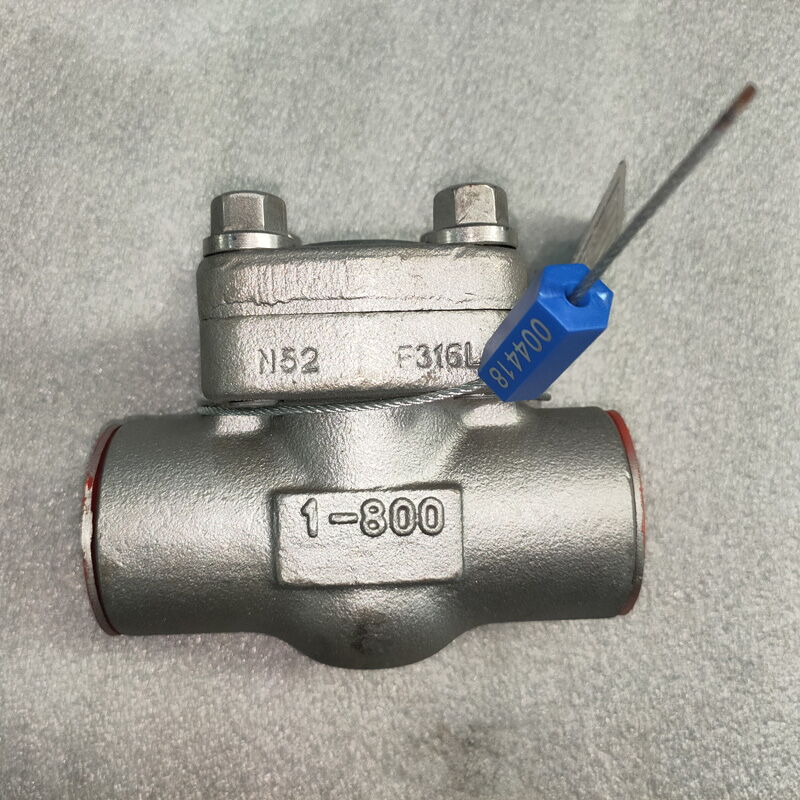 Stainless Steel Check Valve, A182 F316L + STL, 1 Inch, CL800