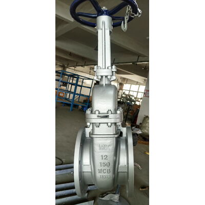 API 600 Wedge Gate Valve, ASTM A216 WCB, 12 Inch, 150 LB, RF