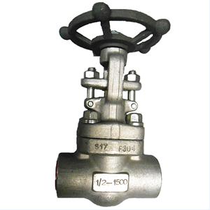 API 602 Gate Valve, A182 F304, 1/2IN, 900LB, SS304+STL Trim