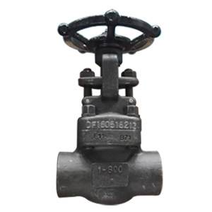 ASME A182 F11 Gate Valve, API 602, 1 Inch, Class 800, SW Ends