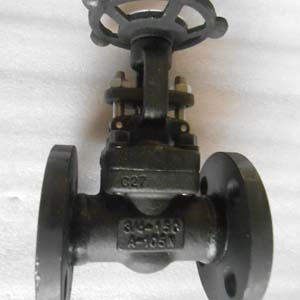 ASTM A105 Gate Valve, 3/4 Inch, 150#, ASME B16.5, RF