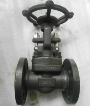 ASTM A105 Gate Valve, API 602, 150 LB, 1 Inch
