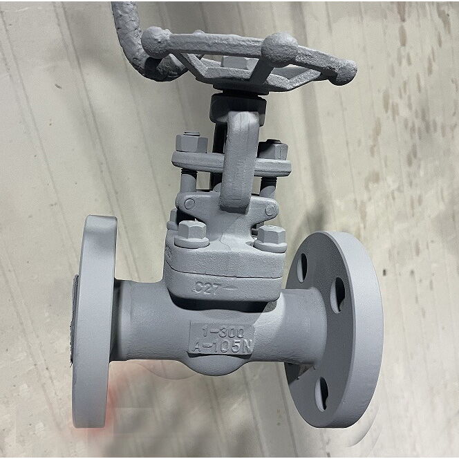 ASTM A105N Gate Valves, API 602, Trim 8#, 1 Inch, CL300, RF