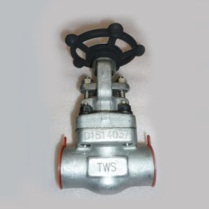 ASTM A182 F316L Gate Valve, 1/2 Inch, Class 800, SW End