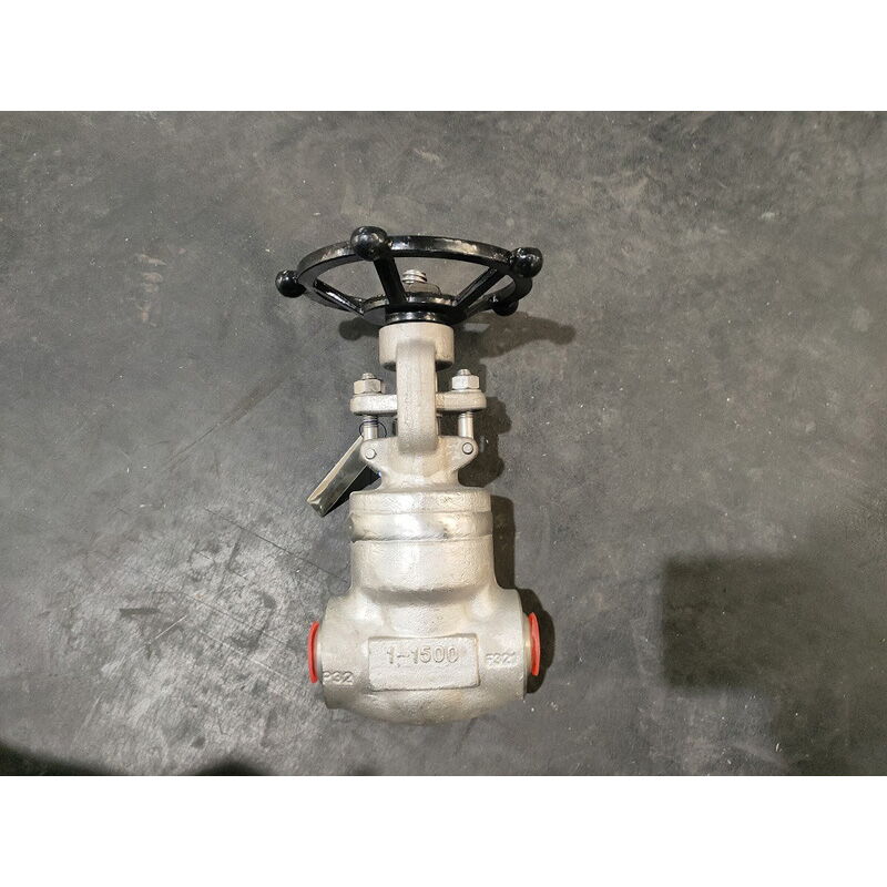 ASTM A182 F321 Gate Valve, 1 Inch, 1500 LB, API 598, BW Ends