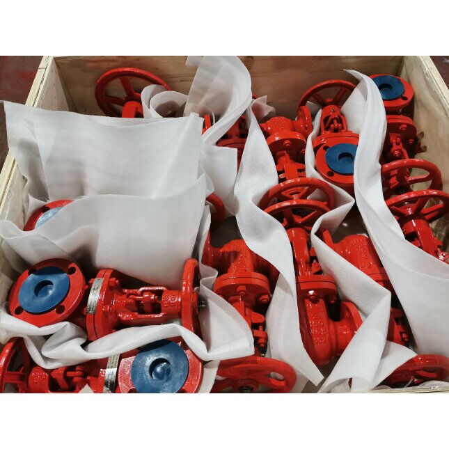 ASTM A216 WCB Gate Valves, Trim 5#, 2 Inch, 150 LB, DN50, RF