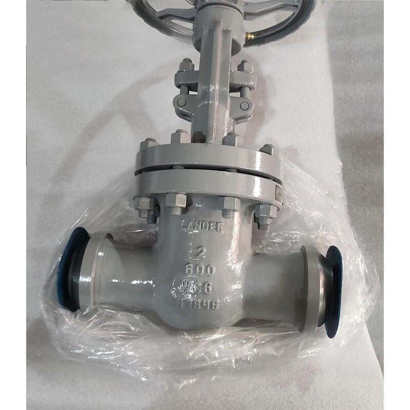 ASTM A217 WC6 Gate Valves, API 600, 2 Inch, 600 LB, OS&Y, BW