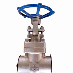 ASTM B763 C95500 Gate Valve, API 602, Rising Stem, Cl800, 2IN