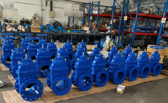Big Size Resilient Seated Gate Valve