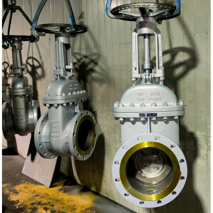 Carbon Steel Wedge Gate Valve, API 600, A216 WCB, 10 IN, RF
