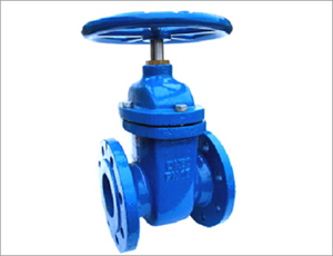 Cast Iron Gate Valve, API 600, WCB, 3IN, 150 LB