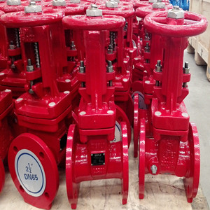 Ductile Iron Gate Valve, 2-1/2 Inch, 300PSI, AWWA C515
