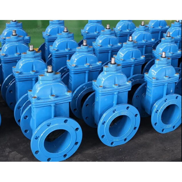Ductile Iron Wedge Gate Valve, DIN 3202 F4, DN50-DN1000, NRS