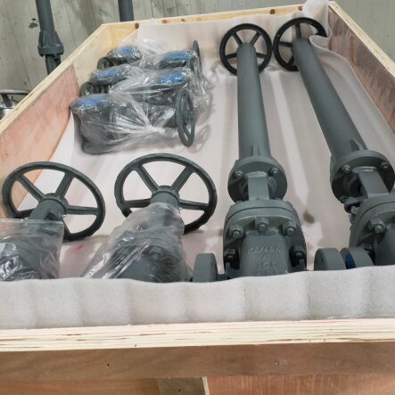 Extended Stem Gate valve, ASTM A216 WCB, 8IN, CL150, API 600