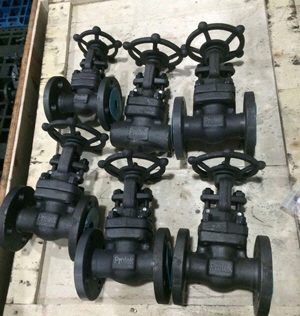 Flanged Bolted Bonnet Gate Valve, ASTM A105, OS&Y, 150#
