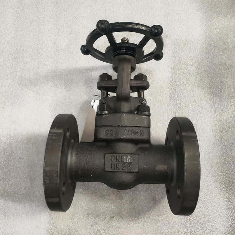 Forged Carbon Steel Gate Valve, A105 + STL Gr.6, DN25, PN16