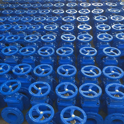 GGG40 Gate Valve, DIN3352 F4, 2 1/2IN, CL150, Blue Epoxy Powder