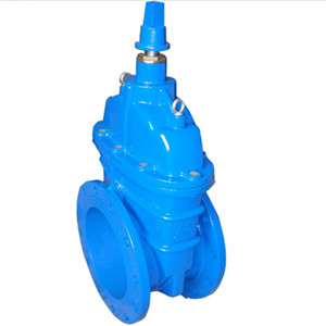 GGG50 Gate Valve, DIN 3352 F4, PN16, EPDM Seat, Flanged