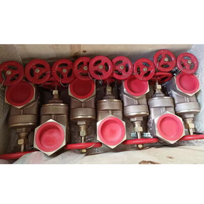 MSS SP-80 Gate Valve, Bronze, ASTM B62, 1/2 IN, CL150, NRS