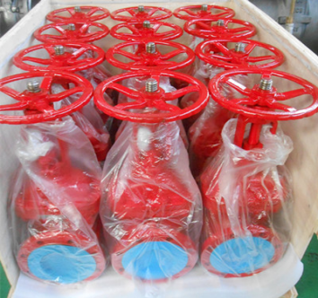 RAL 3020 Gate Valve, A216 WCB, 6 Inch, 150 LB, OS&Y, BB, RF