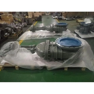 Flexible Wedge Gate Valves, API 600, WCB, 20 Inch, CL150, RF