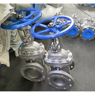 ASTM A351 CF8M Gate Valve, API 600, 4 IN, CL150, BB, OS&Y, RF