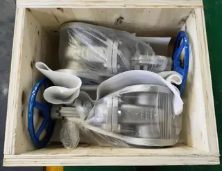 ASTM A351 CF8M Gate Valves