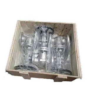 Stainless Steel ASTM A351 CF8 Gate Valves