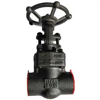 ASTM A105N Gate Valve, API 602, 1-1/2 Inch, CL800, BB, OS&Y