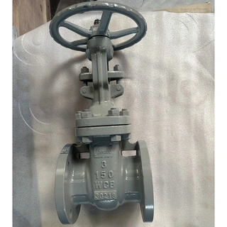 Carbon Steel Gate Valves, A216 WCB, 3 Inch, 150 LB, Flanged