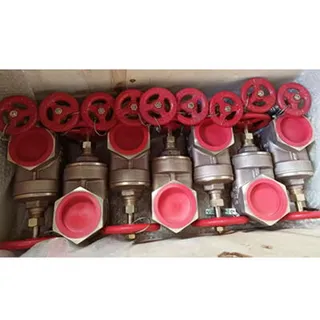MSS SP-80 Gate Valve, Bronze, ASTM B62, 1/2 IN, CL150, NRS