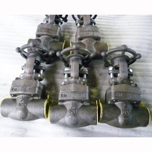 ASTM A182 F11 Gate Valve, 3/4 Inch, 800 LB, API 602, SW