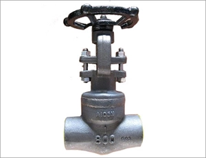 ANSI A105N Gate Valve, API 602, 1IN, 800 LB, NPT