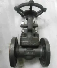 ASTM A105 Gate Valve, API 602, 150 LB, 1 Inch