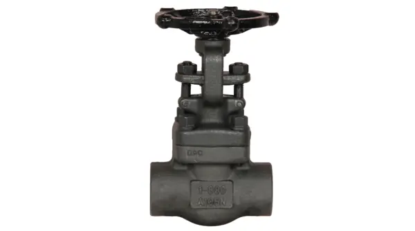 API 602 Gate Valve, ASTM A105N, 1/2-2 IN, Bolted Bonnet | Landee