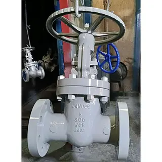 API 600 Gate Valve, ASTM A216 WCB, Trim 5, 5 IN, 900 LB, RTJ