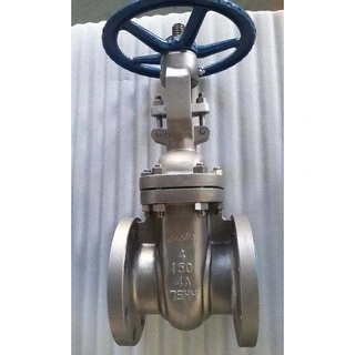 Super Duplex Steel Gate Valve, A890 4A, 4 IN, CL150, Flanged