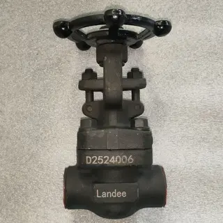 ASTM A105N Wedge Gate Valve, API 602, 1/2 IN, 800 LB, BB, SW