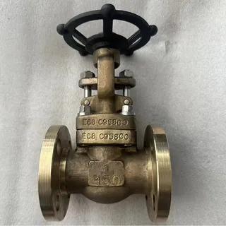 Aluminium Bronze Gate Valve, ASTM B148 C95800, 1 IN, CL150