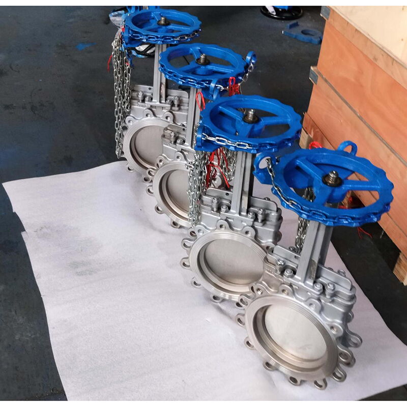 SS 316 Knife Gate Valve, Stainless Steel, 8 Inch, 150 PSI