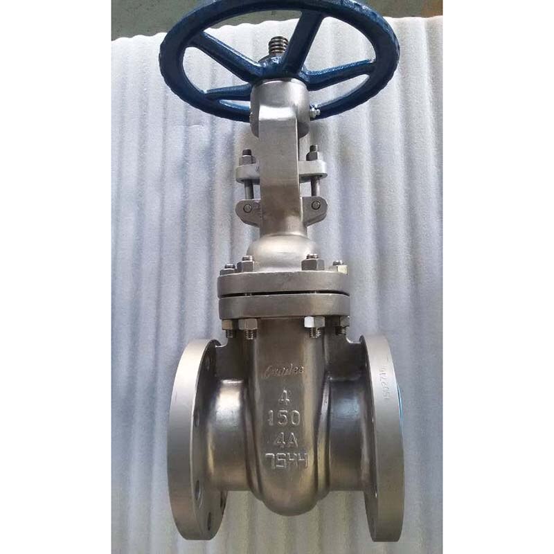 Super Duplex Steel Gate Valve, A890 4A, 4 IN, CL150, Flanged