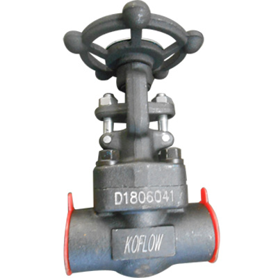 SW Solid Wedge Gate Valve, ASTM A105, Rising Stem, 2 Inch, CL800