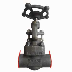 3/4 Inch Globe Valve, ASTM A182-F5 Body, MONEL Trim