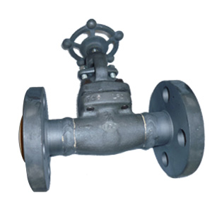 A350 LF2 Forged Steel Flanged Ends Globe Valves, 600 LB