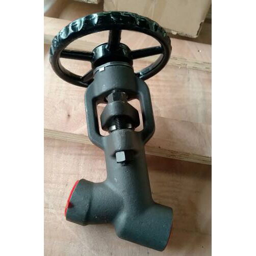 API 602 Y-type Globe Valve, ASTM A105, A182 F11/F22, 1/2-2 IN