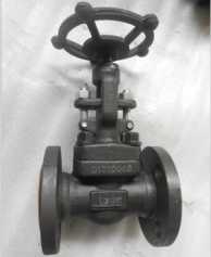 ASTM A105 Globe Valve, API 602, 1 Inch, Class 150