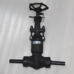 ASTM A105 Globe Valve, API 602, DN15, PN420, SW Ends